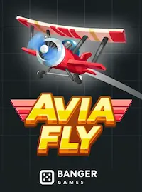 Avia Fly crash at EP444 COM